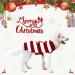 Delifur Holiday Reindeer Sweater for Small Dog/Cat - Christmas Pet Clothes, Red Medium - Buy Online on SooperMarket.com