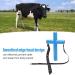 Livestock Mouth Opener Durable Livestock Gastric Lavage Equipment for Animal Husbandry (S) Small - Buy Online on SooperMarket.com