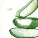 Dove Nourishing Body Wash - Hydrating Aloe & Birch Water, 22 fl oz - Buy Online on SooperMarket.com