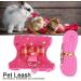 Small Animal Dishes & Leash Set for Squirrels Hamsters Ferrets & Guinea Pigs | Perfect Pet Accessories - Buy Online on SooperMarket.com