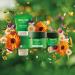 Weleda Skin Food Nourishing Day Cream - Natural Hydration for Glowing Skin - Buy Online on SooperMarket.com