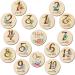 16 Pieces Wooden Baby Monthly Milestone Cards Floral Baby Monthly Milestone Marker Discs Double Sided Monthly Milestone Wooden Circles Baby Months Signs for Baby Shower Newborn Photo Props Fresh Flowers