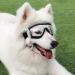 PETLESO Dog Goggles Large Eye Protection Dog Sunglasses for Middle/Large Dogs Clear - Buy Online on SooperMarket.com