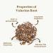 Valerian Root Tea Organic 100g (50 Cups) | Valerian Pure Cut Root Loose Herb Tea | Valeriana officinalis REPLANTEA - Buy Online on SooperMarket.com