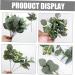 LIFKICH 24pcs Floral Arrangement Decor Artificial Eucalyptus Picks Artificial Eucalyptus Branch Faux Spray Eucalyptus Leaves Stems Greenery Stems Plant Decor Pu Christmas Leaf Branch As Shown 28.00X12.00X8.00CM - Buy Online on SooperMarket.com
