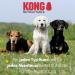 Kong Roll-Out Dog Leash 5m | XL for Large Dogs Up to 70kg | High-Quality Roller Leash with Break & Lock System | Soft Handle & Reflective Belt in Red - Buy Online on SooperMarket.com