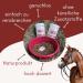 Petgold MSM Horse Powder 1000g | High Dose Sulfur Methylsulfonylmethane for Dogs & Horses - Buy Online on SooperMarket.com