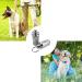 Personalized Address Tags for Dogs & Cats - 6 Pack Pet ID Pendants with Key Ring - Durable Animal Accessories - Buy Online on SooperMarket.com