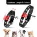 Personalized Leather Cat Collar with Bell and Rhinestone - Adjustable Safety Collar for Cats and Kittens (Black, 7-10 Inch) - Buy Online on SooperMarket.com