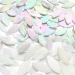 KALUCION 120 Pcs Iridescent White Petal Mosaic Tiles - Stained Glass Flower Petals Kit for Mosaics and Crafts - Buy Online on SooperMarket.com