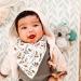 Itzy Ritzy Koala Plush Pal & Silicone Teether | 0+ Months | Soft Baby Toy - Buy Online on SooperMarket.com