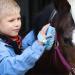Animalon Children's Horse Cleaning Tools | Ergonomic Blue Card tsche Brush | Perfect Horse Gift for Kids - Buy Online on SooperMarket.com