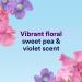 Suave Women's Deodorant - Sweet Pea & Violet 48H Protection Anti-Staining Pack of 2 - Cruelty-Free & Scented - Buy Online on SooperMarket.com
