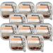 Amazon Brand - Lifelong Dog Food Pat with Poultry 300g Pack of 10 - Buy Online on SooperMarket.com