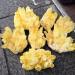 Natural Citrine Cluster Reiki Feng Shui Home Decoration Crystal Gift Home Collections (Size : 300g) - Buy Online on SooperMarket.com