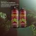 Mystere Beaute Rosemary Shampoo and Conditioner Set - Promotes Hair Growth & Scalp Health - Volumizing Formula - Sulfate & Paraben Free - 16 fl oz each - Buy Online on SooperMarket.com
