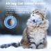 Reflective Airtag Cat Collar with Bell | Waterproof Holder | Breakaway Safety Buckle | 3/8 Width | Compatible with Apple Airtag - Blue - Buy Online on SooperMarket.com