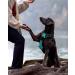 Joytale Reflective Dog Harness for Large Dogs | Adjustable Soft Padded & Breathable | Safe Control Handle | Turquoise (1 Pack) - Buy Online on SooperMarket.com