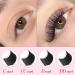 Easy Fan Lashes C-0.07-10-14Mix Easy Fan Russian Lashes Eyelash Extensions C CC D DD curl Self Fanning Lashes 8-20mm Flowering Blooming Volune Lash Extension(C-0.07 10-14 Mix) 1 count (Pack of 1) C-0.07 - Buy Online on SooperMarket.com