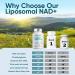 solodate Liposomal NAD+ 500mg Supplement with TMG | Cellular Energy & Anti-Aging | 120 Capsules - Buy Online on SooperMarket.com