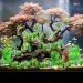 Buy Ctpeng 57-Piece Artificial Fish Tank Plants Decor Set | 2-30cm | Perfect for Aquarium Decoration - Buy Online on SooperMarket.com