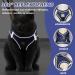 Adjustable Cat Dishes Break-In Set | Soft Inner Lining & Breathable Mesh for Cats & Puppies - Navy Blue (M) | International Shipping Available - Buy Online on SooperMarket.com
