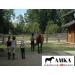 AMKA PRO Dressage Saddle Girth - 80cm Natural Cotton Cord Girth for Superior Comfort & Performance - Buy Online on SooperMarket.com