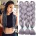 Tess Braids Extensions 60 cm 3 pack jumbo braids Kanecalon Kunsthaar for braid box braids hair extension braid 100g/bundle of hair braids extension (3 piece-silver gray) 60 cm (3 pieces) silver gray