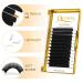 QUEWEL 0.05 C Curl 12mm Volume Eyelash Extensions - Self-Fanned Easy Fan Lashes for Enhanced Volume | International Shipping - Buy Online on SooperMarket.com
