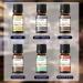 EUQEE 6PCS Men's Fragrance Oils Gift Set - Premium Grade 10ml Scents for Men's Pubs - Leather, Sweet Tobacco, Dragon's Blood, Sandalwood, Bay Rum, Cedarwood - Buy Online on SooperMarket.com
