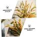 Alipis 3pcs Simulated Ears of Corn Dried Grasses Bundle Home D cor Dried Millet Home Accessories Decor Faux Plants Artificial Plant Home Decor Millet Decor Paddy Artificial Grass Iron Greenx3pcs 12X75CMx3pcs - Buy Online on SooperMarket.com