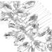 Gogogmee Crystal Hair Accessories Sparkly Hair Comb Bride Hair Side Comb Bridal Hair Comb Wedding Hair Accessories Sparkly Hair Accessories Rhinestone Hair Comb for Bridal Bride Hair Comb - Buy Online on SooperMarket.com
