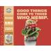 Manitoba Harvest Hemp Hearts 5lb - Raw Shelled Hemp Seeds, 10g Protein, 12g Omegas, Non-GMO, Gluten-Free - Buy Online on SooperMarket.com