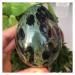 Crystal Natural Kambaba Jasper Stone Crystal Stones 1pc Stone Collection (Size : 150-200g)