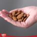 Tropgo Roasted Salted Almonds 180g Tub - Almond Nuts in Resealable and Recyclable Tub - Wholesome Trail Mix with Fibre Protein and Essential Minerals - Healthy Nuts for All Ages - Buy Online on SooperMarket.com