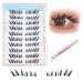 Dorolab Lashes Dorolab Eyelashes Dorolab Eye Lash Dorolab Glue-Free False Eyelashes Dorolab Glue Free Eyelashes Dorolab No Glue Lashes Dorolab Reusable Glue-Free False Eyelashes(JWH)