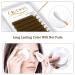 QUEWEL Easy Fan Brown Volume Lash Extensions 0.07 D 9-16mm | Self Fanning 2D-10D Volume Eyelash Extensions - Buy Online on SooperMarket.com
