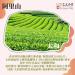 Taiwan unique tea TTES No.12 (Jhinshuan) Alishan Jinxuan hand-picked mountain tea leaves 150g*4 - Buy Online on SooperMarket.com