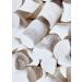 KoRo Vegan Marshmallows 500g - Extra Large Soft & Sweet Vanilla Flavor - International Shipping Available - Buy Online on SooperMarket.com