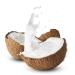 EcoEcho Organic Coconut Milk Powder (Unsweetened Non GMO) - 1kg / 2.2Lb