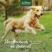 Aniforte Tick Sign for Small Dogs up to 10kg - 60 Capsules for Natural Tick Protection | Effective for Junior Adult & Senior Dogs - Buy Online on SooperMarket.com