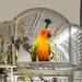 Bird Cage Light with Chew Guard for Hookbill Birds - Full Spectrum LED Pet Light by M&M Cage Co. | Simulates Natural Environment - Hookbill Light 18 - Buy Online on SooperMarket.com