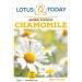 Chamomile Tea for relaxation whole Loose Flowers premium quality Herbal tea 30 grams - Buy Online on SooperMarket.com