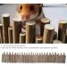 Buy Wooden Hamster Fence & Toys - Natural Hiding Place & Bridges (60cm) for Hamsters and Rats - Buy Online on SooperMarket.com