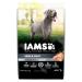 IAMS ADVANCED HEALTH Dog Food Dry SKIN & COAT Adult Chicken & Salmon Recipe 12.2kg Bag 12.25 kg (Pack of 1)