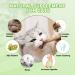 AGYM Cat Silvervine Stick Toy Set - Natural Chew Toys for Cats | Promotes Dental Health, Relaxation, and Digestion | Non-Addictive and Safe | 4 Pack - Buy Online on SooperMarket.com