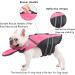 French Bulldog Life Jacket - Professional Dog Safety Vest for Swimming | Superior Buoyancy & Rescue Handle | Cute Pink | Chest Girth 17-30, Weight 17-28LB - Buy Online on SooperMarket.com