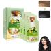 Bubble Plant Hair Dye Fruitcolor Hair Dyeing Cream New Botanical Bubble Hair Shampoo Pure Plant Extract For Black Hair Color Bubble Dye Natural Plant Hair Dye Shampoo For Women Men