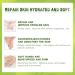 Green Tea Anti-Wrinkle Hand Mask - Hydrating Peel-Off Wax for All Skin Types (2 Pieces) - Nourish & Repair Calluses - Buy Online on SooperMarket.com