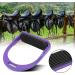 Janzoom Children's Stirrups - Comfortable Purple Stirrups for Kids | International Shipping Available - Buy Online on SooperMarket.com
